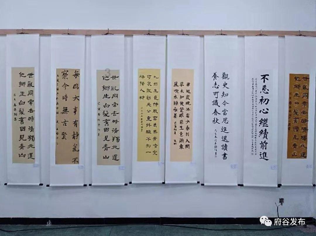 猫咪吼人但是不敢打主人是什么情况?-机智问答网页,快速解答您的问题